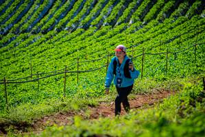 BIB: 
                            <button type="button" onclick="openModal(19162405)" class="btn btn-primary btn-sm float-right btn-popup" data-toggle="modal" data-target=".modal-high-quality">
                        <i class="fas fa-shopping-cart"></i> Add to Cart
                    </button>
                                            <button type="button" onclick="isThisMe(19162405, true)" class="btn btn-success btn-sm float-right btn-popup btn-isme hidden" data-toggle="tooltip" data-placement="bottom" title="นี่คือรูปของคุณใช่ไหม คลิกที่นี่เพื่อเอาเข้าอัลบั้ม">
                        <i class="fas fa-plus"></i> Add to album
                    </button>
                    <button type="button" onclick="isThisMe(19162405, false)" class="btn btn-warning btn-sm float-right btn-popup btn-isnotme hidden">
                        <i class="fas fa-ban"></i> Remove from album
                    </button>